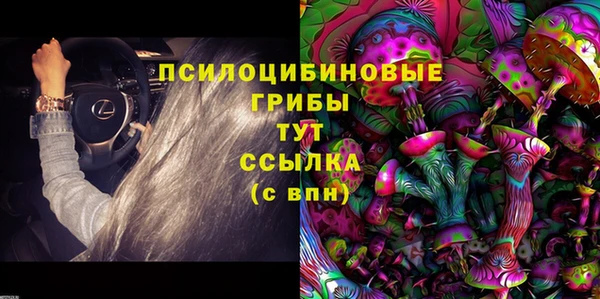 прущая мука Горняк