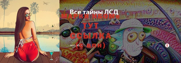 ECSTASY Гусев