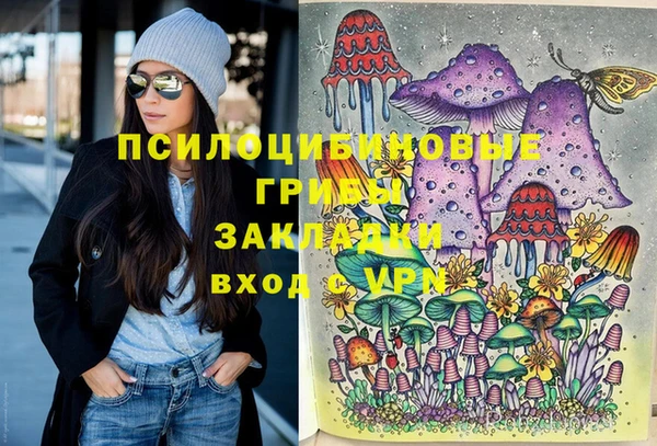 Альфа ПВП Горно-Алтайск