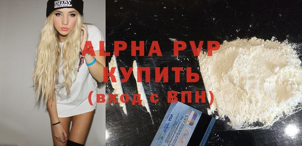 ECSTASY Гусев