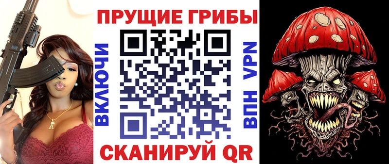 Псилоцибиновые грибы Psilocybine cubensis  Павловск 